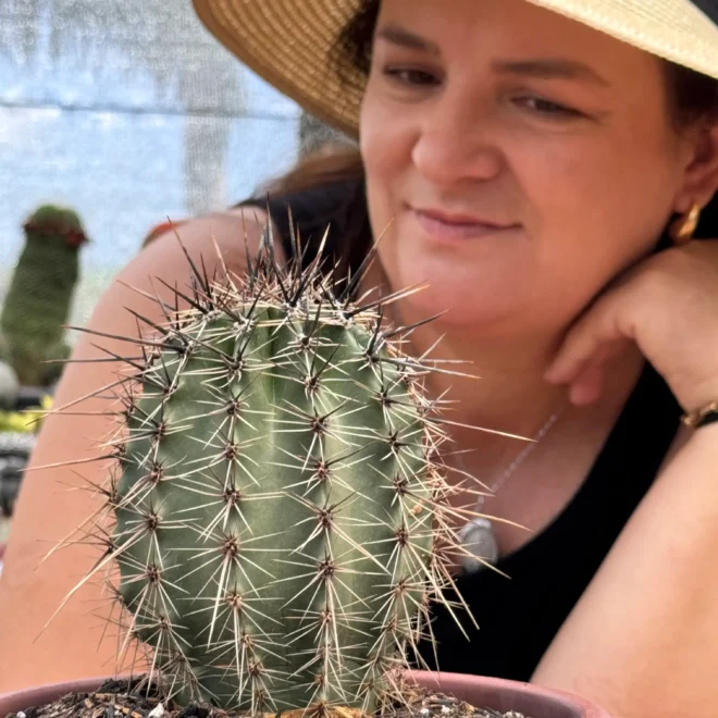 7 Motivos para Ter Cactos: Beleza, Energia e Praticidade