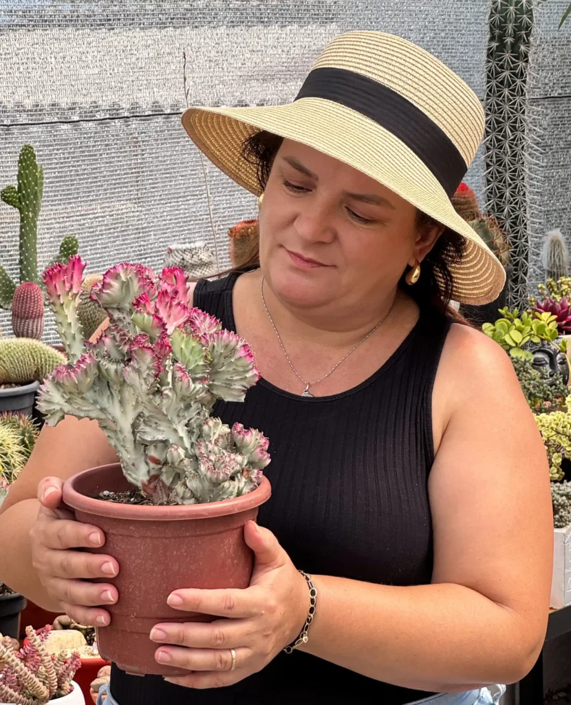 mulher segurando uma Euphorbia lactea Cristata Variegata
