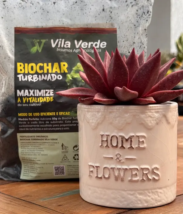 pacote do carvão vegetal Biochar