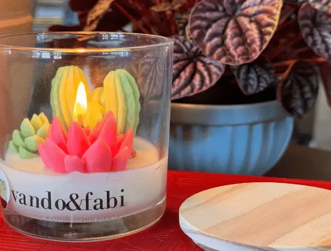 Velas Aromáticas Inspiradas em Mini Jardins de Suculentas
