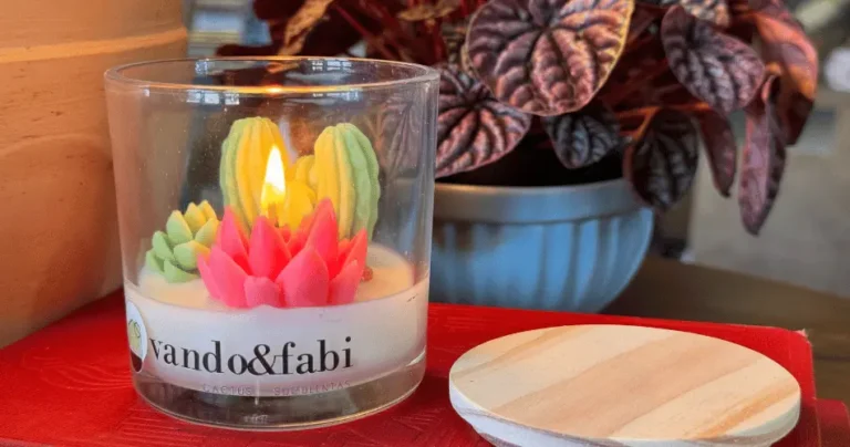 Velas Aromáticas Inspiradas em Mini Jardins de Suculentas
