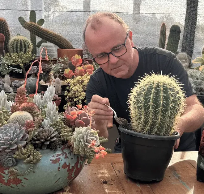 Erro fatal na escolha da terra adubada que pode acabar com suas plantas