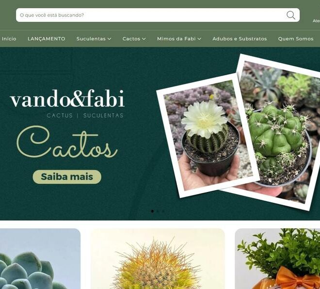 Onde Comprar Cactos e Suculentas pela Internet com Segurança